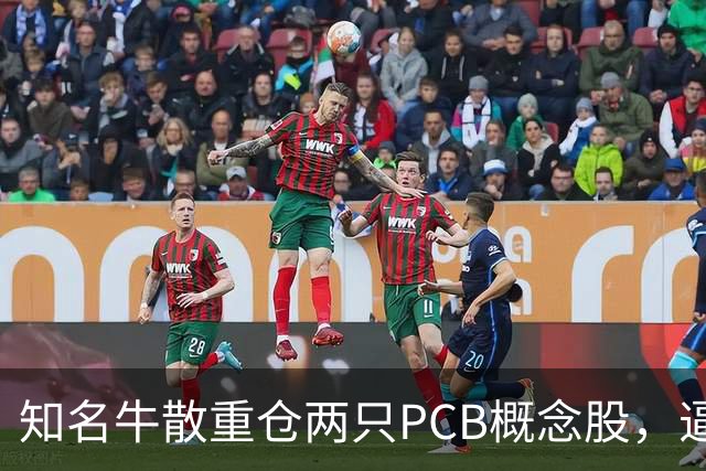 知名牛散重仓两只PCB概念股，逼近举牌线