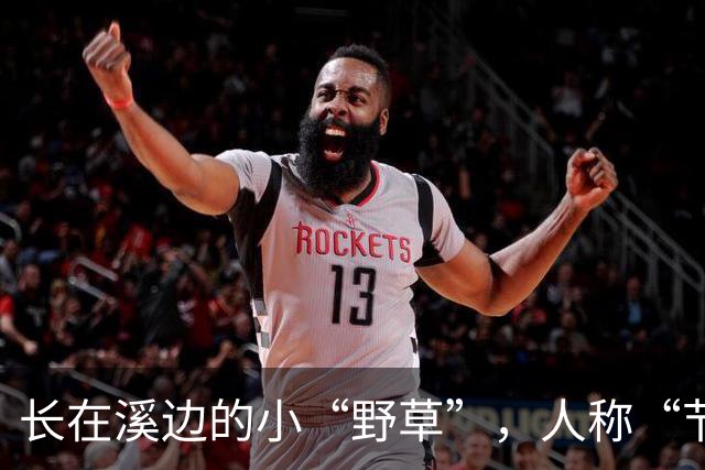 长在溪边的小“野草”，人称“节节草”，农民拔了扔，现20元一盆